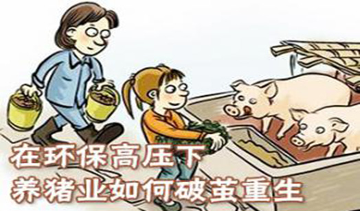 单反镜头重量中文字幕精品少妇久久久久久，单反镜头重量的奥秘